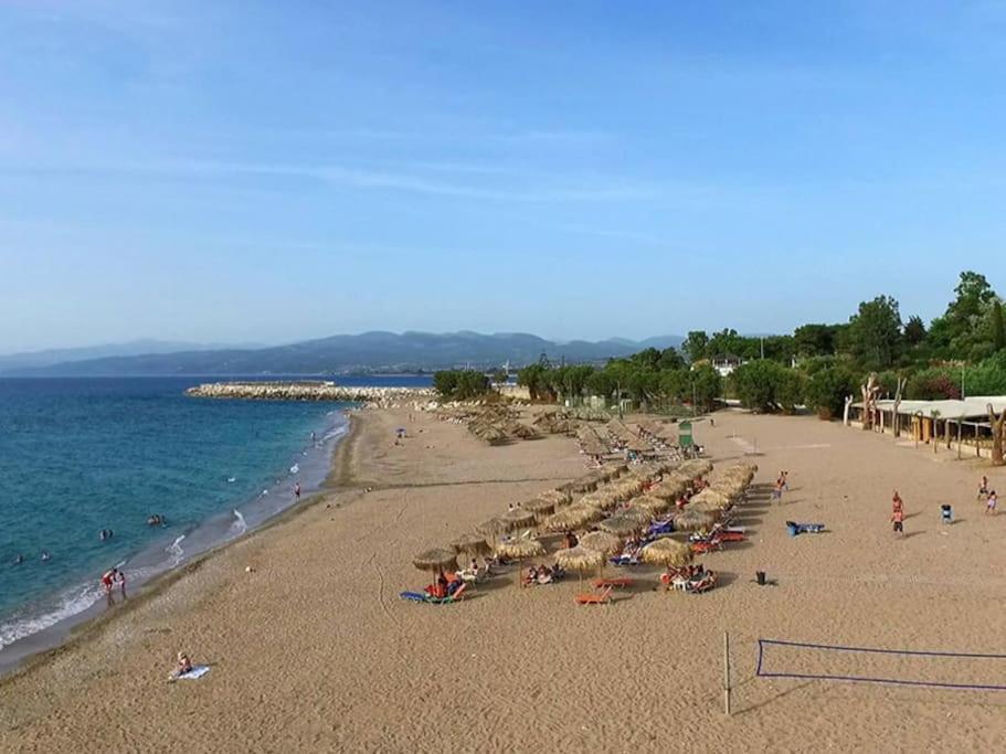 Ferienwohnung Στούντιο Σε Πέτρινο Σπίτι, Κοντά Σε Παραλία Kyparissia Exterior foto